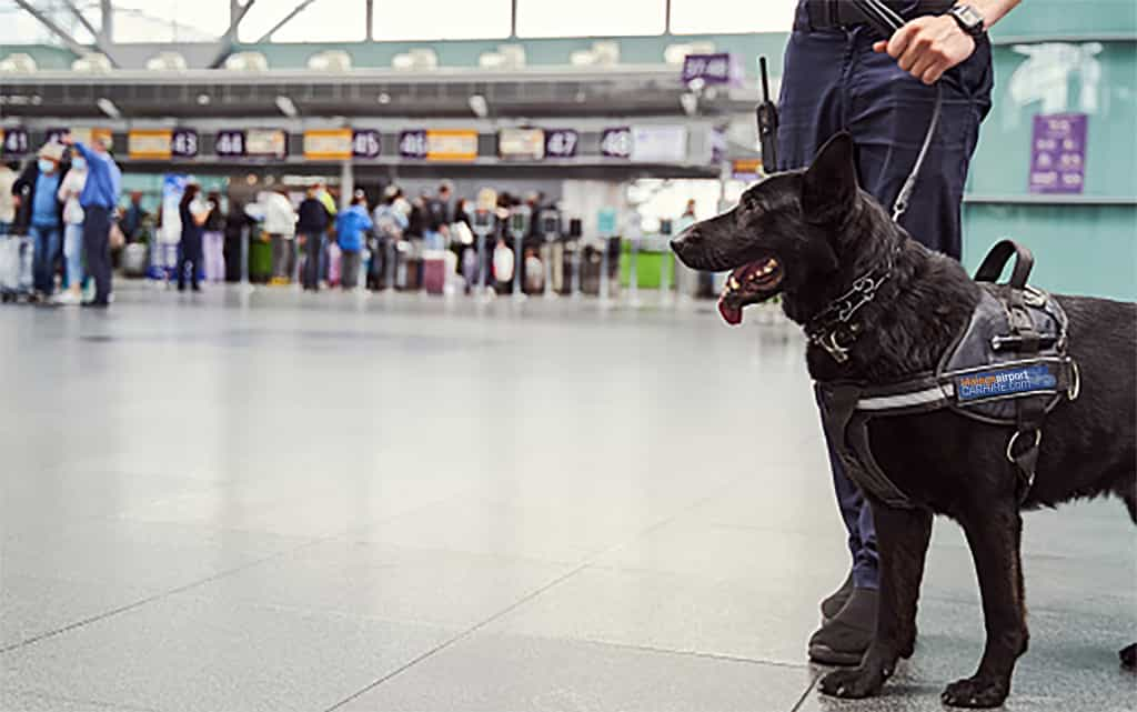 police at Malaga airport